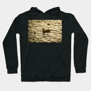 Mallard Ducks Hoodie